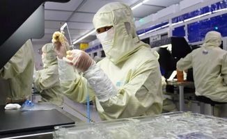 中國大步邁向手機面板強國 晶科微電子的引領(lǐng)之路