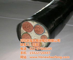 賀州高中低壓電纜與河北新寶豐推薦批發價格解析